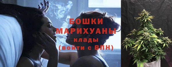 молекула духа Михайловск