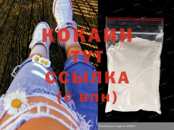 сатива Билибино