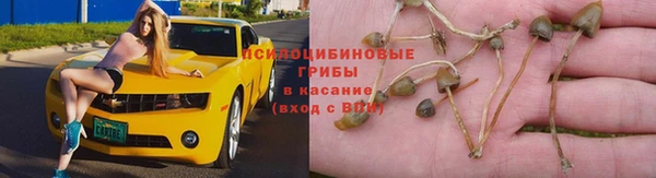 тгк Медногорск