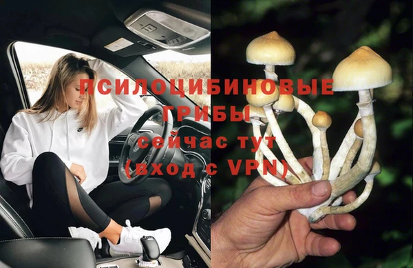а пвп мука Медвежьегорск