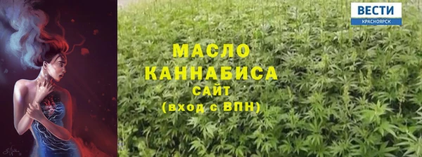тгк Медногорск