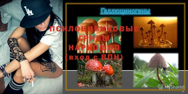 СК Бикин