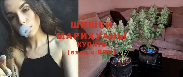 тгк Медногорск