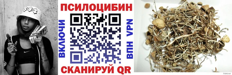 что такое   Данилов  Галлюциногенные грибы Psilocybine cubensis 